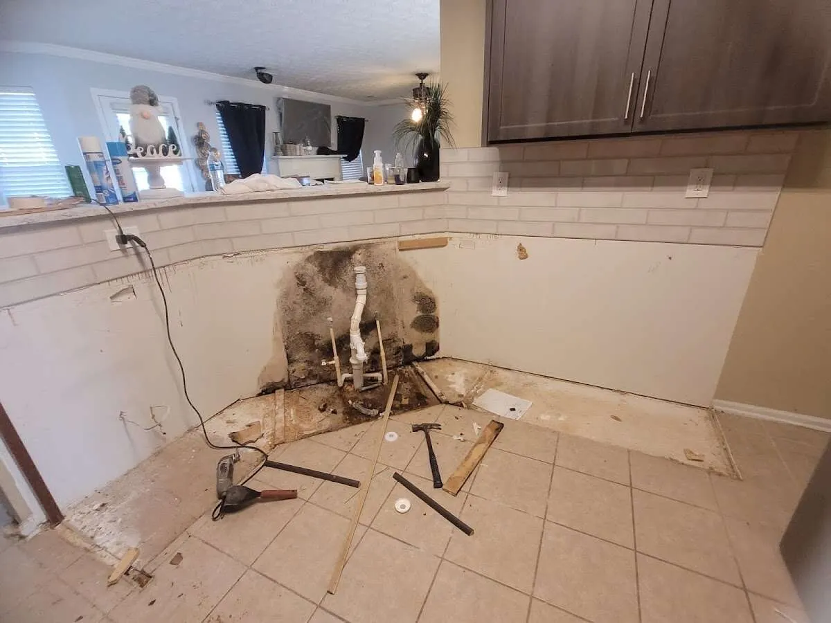 Mold behind wall with plumbing during Flood Damage Cleanup in Flossmoor